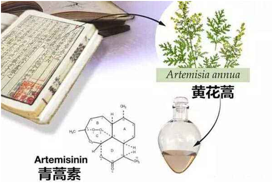千亿体育注册网(中国区)首页,：向中医药看齐，与世界共享中医药文化(图1)